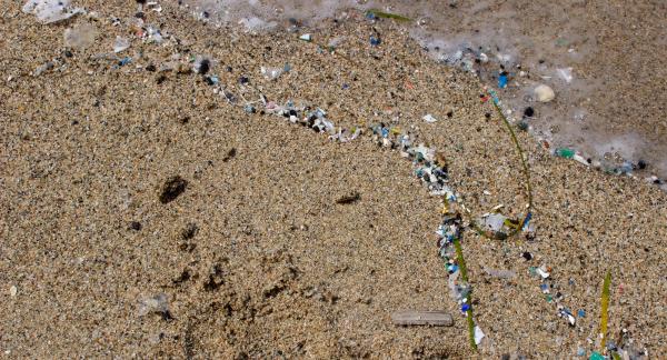 Microplastics in the Mediterran Sea